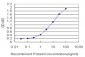NRP1 Antibody (monoclonal) (M05)